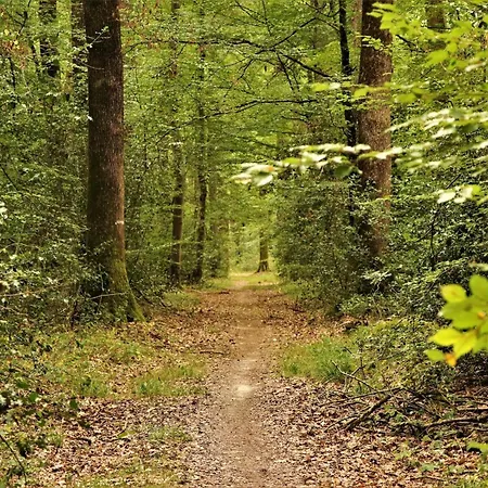 Apartamento De Luxe A Proximite De La Gare Enghien-les-Bains